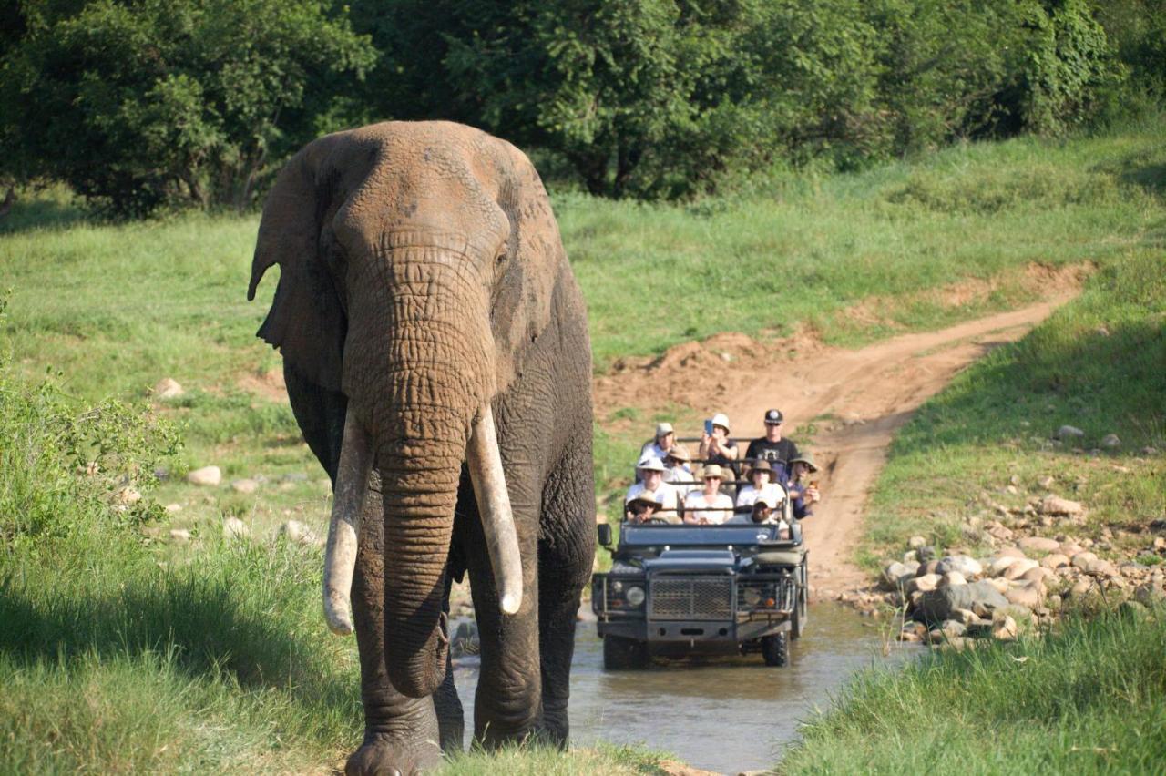Karongwe Portfolio - Kuname Lodge Karongwe Game Reserve Exteriér fotografie