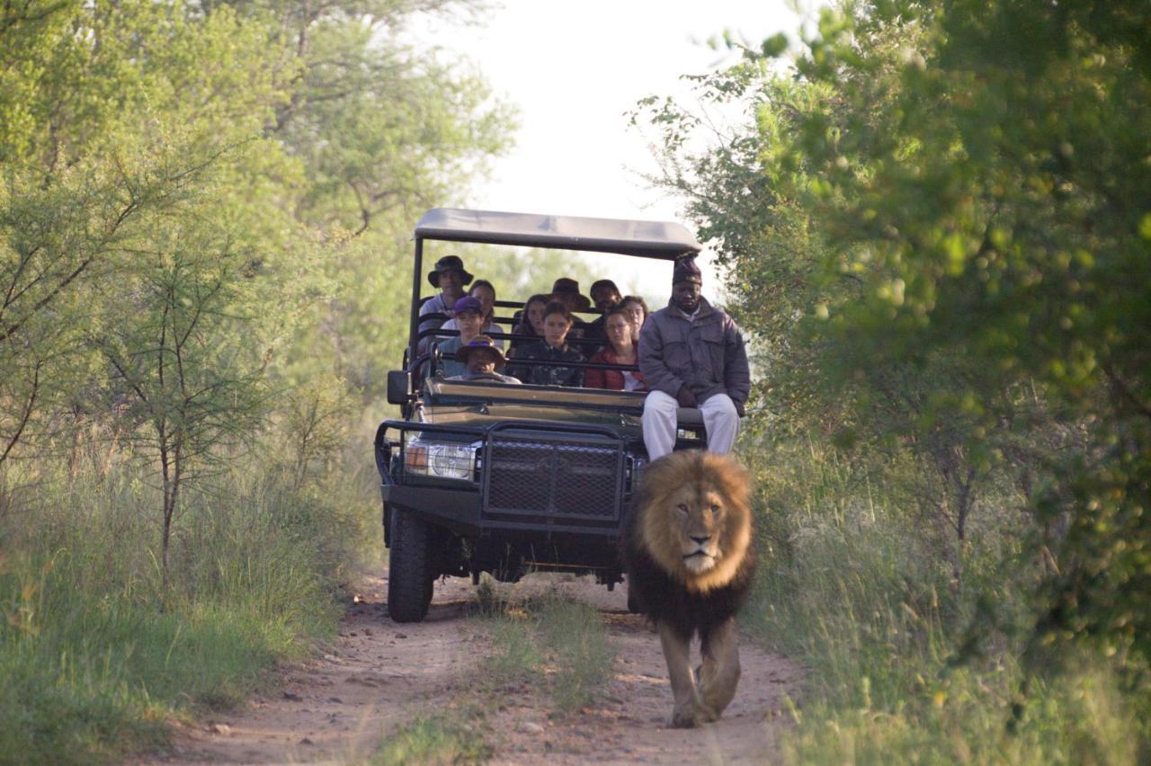 Karongwe Portfolio - Kuname Lodge Karongwe Game Reserve Exteriér fotografie