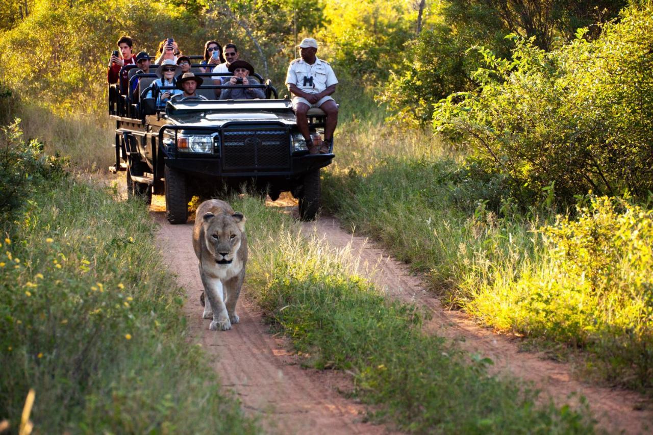 Karongwe Portfolio - Kuname Lodge Karongwe Game Reserve Exteriér fotografie